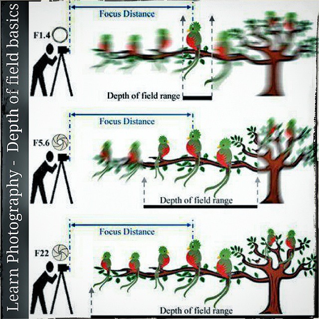 Photography Depth Of Field Chart